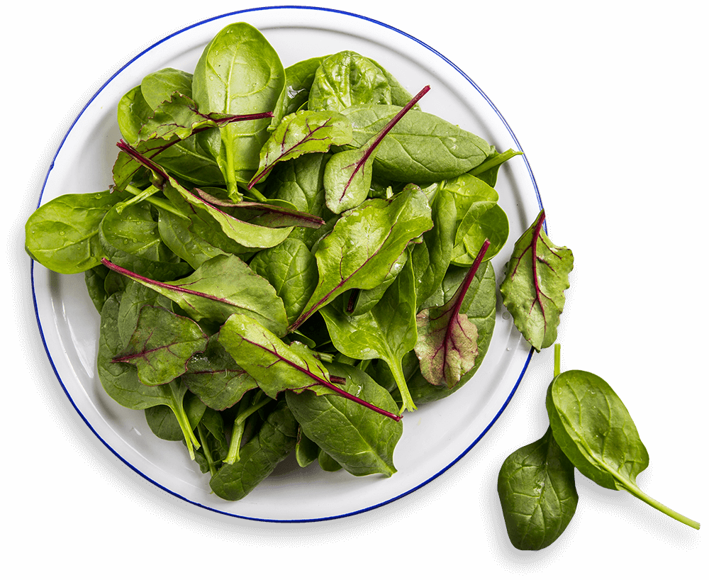 saladBowl